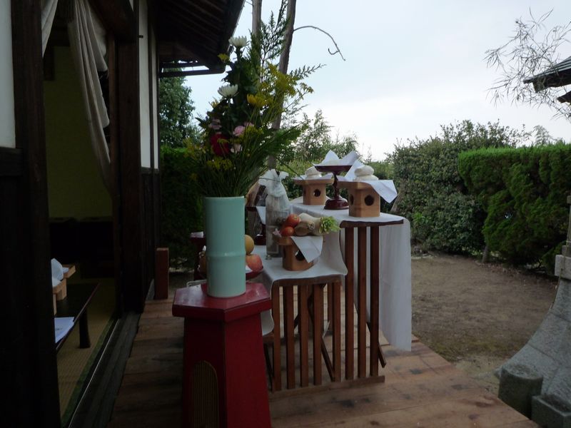 �������F�摜���̂U