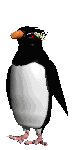 ペンギン