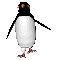 ペンギン